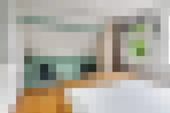 Weinterp 31 Wijnjewoude thumbnail 27