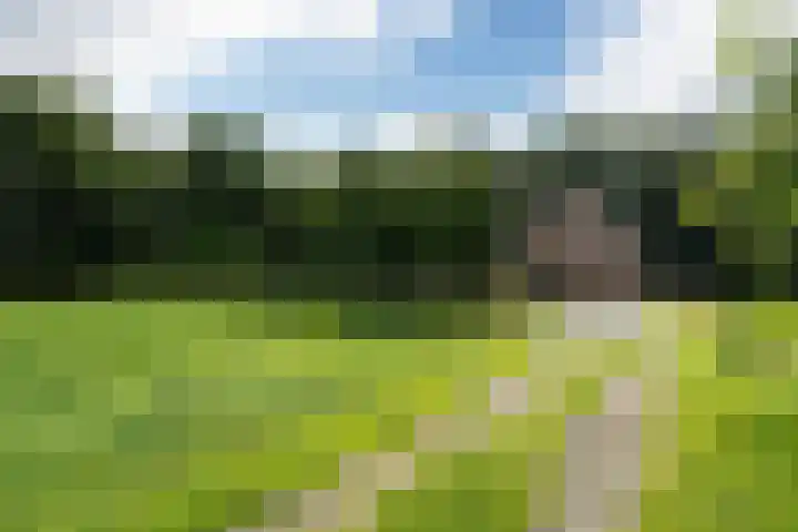 Weinterp 31 Wijnjewoude foto 3