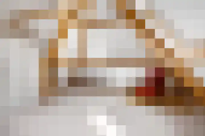 Weinterp 31 Wijnjewoude thumbnail 35