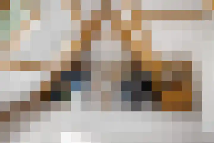 Weinterp 31 Wijnjewoude thumbnail 36