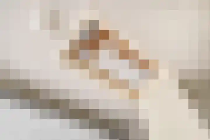 Weinterp 31 Wijnjewoude thumbnail 37