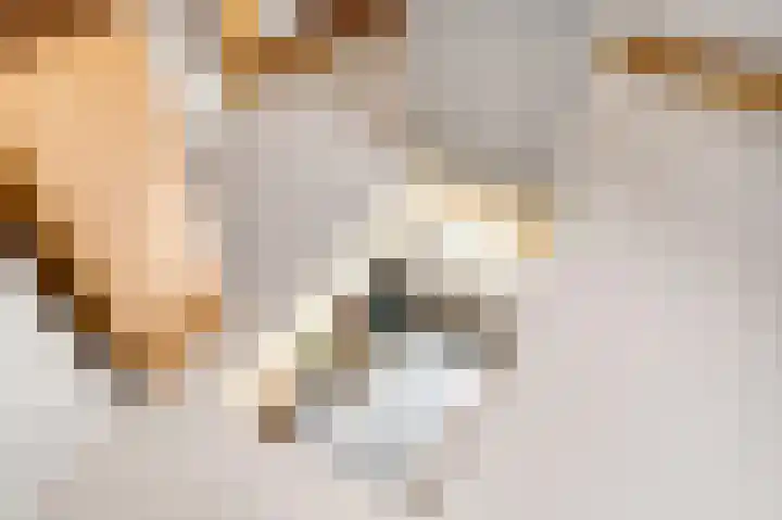 Weinterp 31 Wijnjewoude thumbnail 38