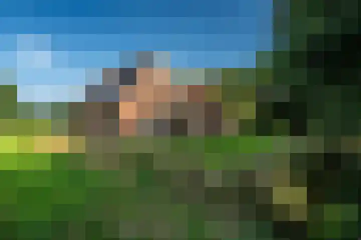 Weinterp 31 Wijnjewoude thumbnail 4
