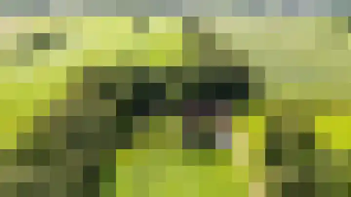 Weinterp 31 Wijnjewoude thumbnail 43