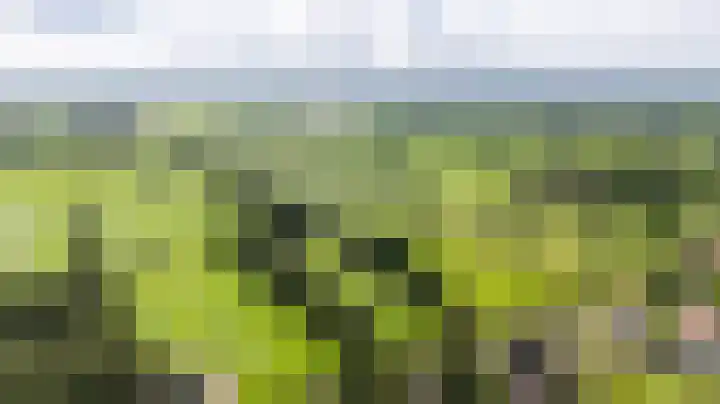 Weinterp 31 Wijnjewoude thumbnail 44