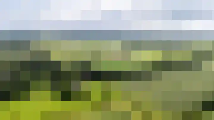 Weinterp 31 Wijnjewoude thumbnail 45
