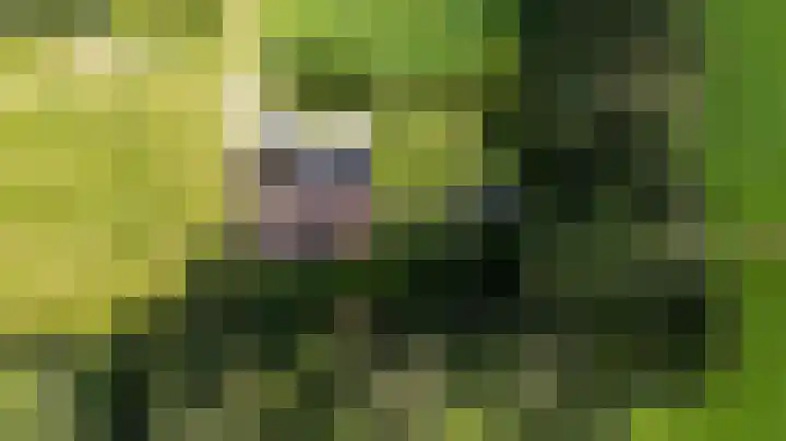 Weinterp 31 Wijnjewoude thumbnail 46