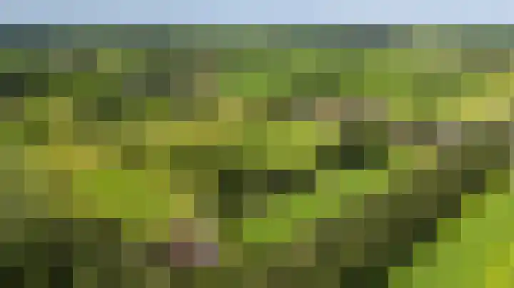 Weinterp 31 Wijnjewoude thumbnail 47
