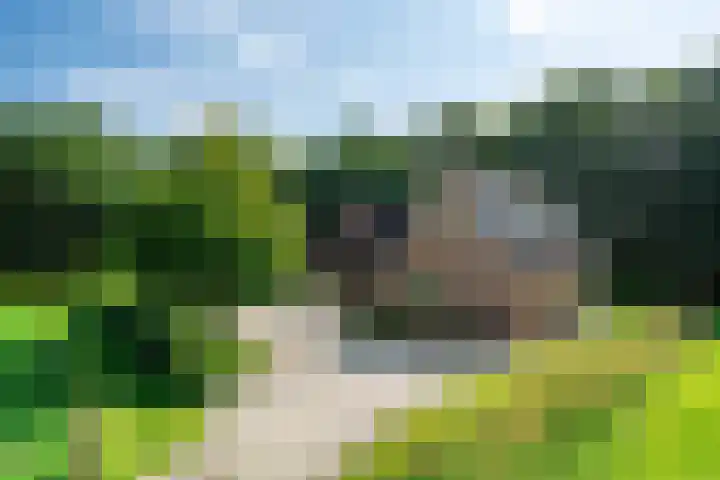 Weinterp 31 Wijnjewoude thumbnail 48