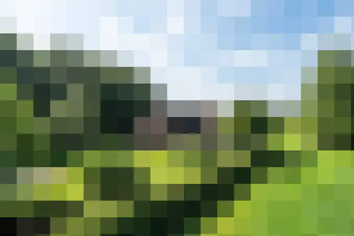 Weinterp 31 Wijnjewoude thumbnail 49