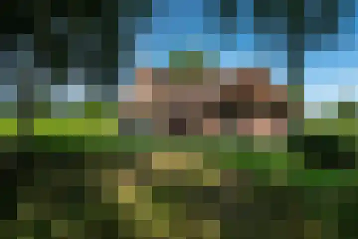 Weinterp 31 Wijnjewoude thumbnail 5