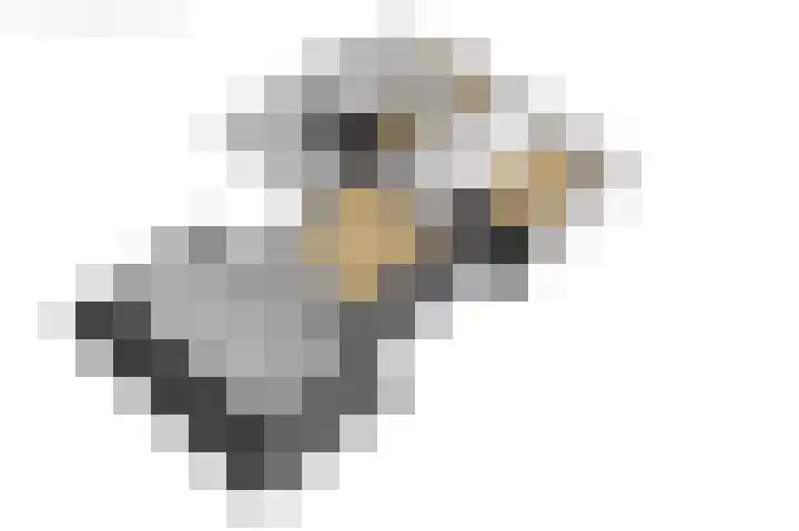 Weinterp 31 Wijnjewoude thumbnail 56
