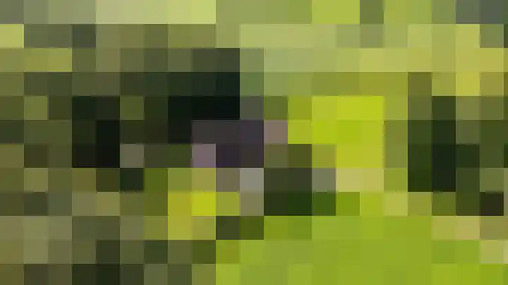 Weinterp 31 Wijnjewoude thumbnail 59