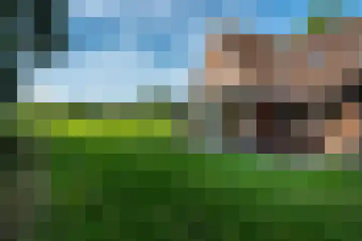 Weinterp 31 Wijnjewoude thumbnail 6