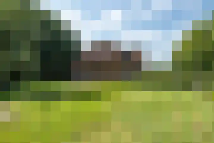 Weinterp 31 Wijnjewoude thumbnail 8