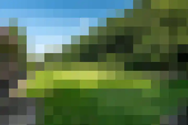 Weinterp 31 Wijnjewoude thumbnail 9