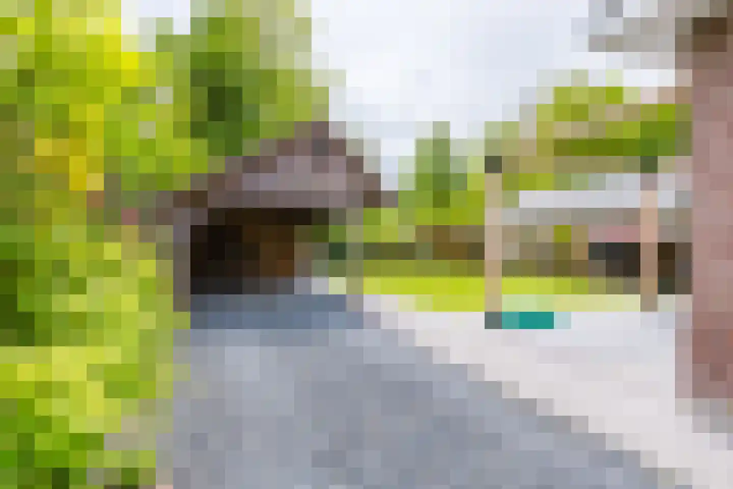 Weinterp 5 Wijnjewoude thumbnail 11