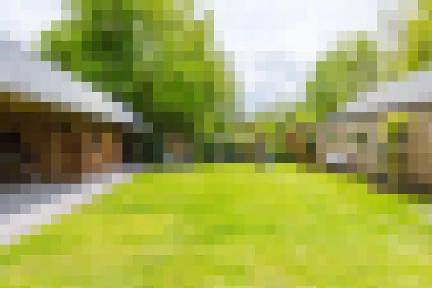 Weinterp 5 Wijnjewoude thumbnail 12