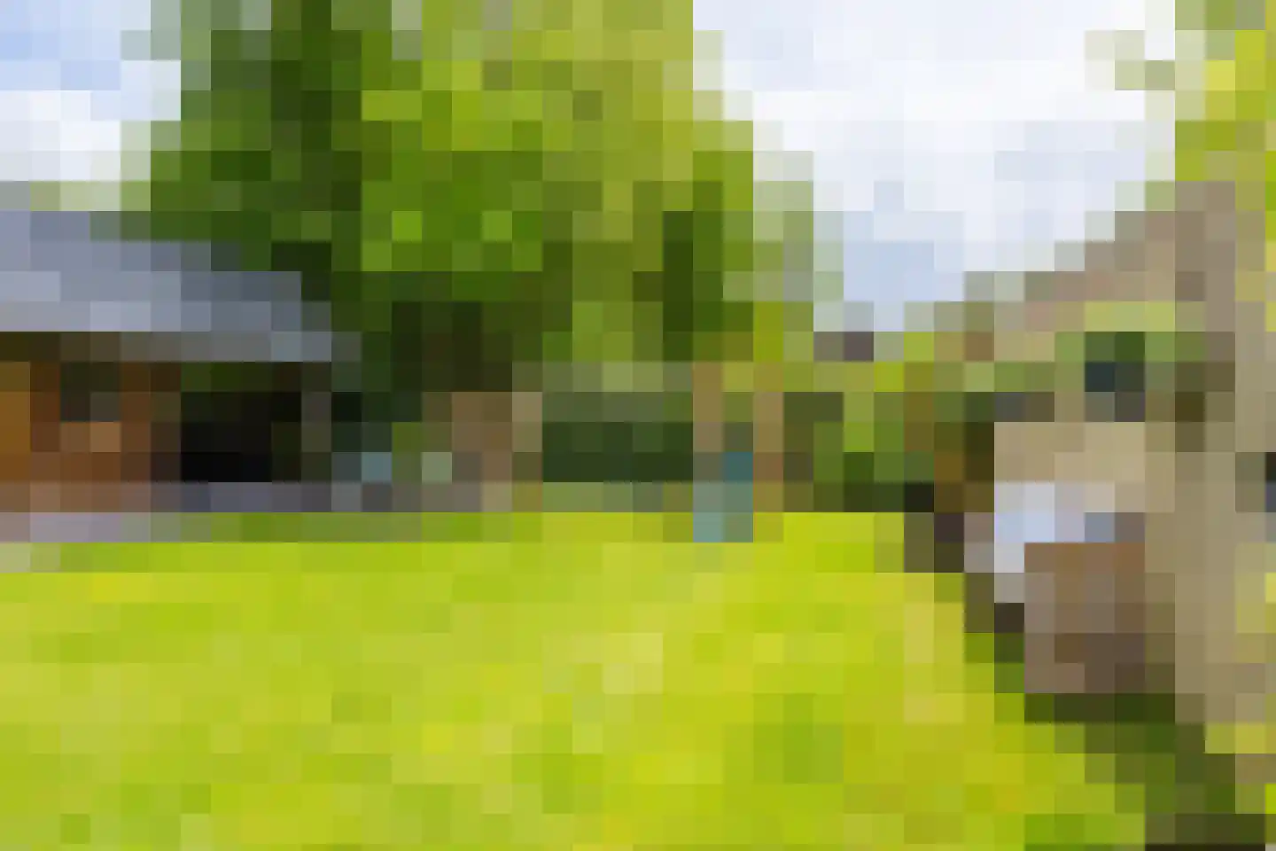 Weinterp 5 Wijnjewoude thumbnail 14