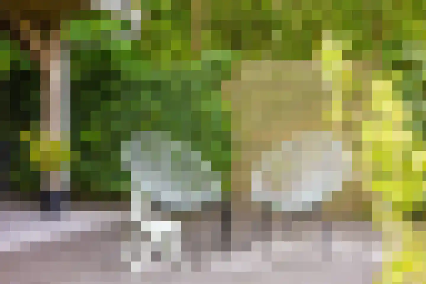 Weinterp 5 Wijnjewoude thumbnail 15