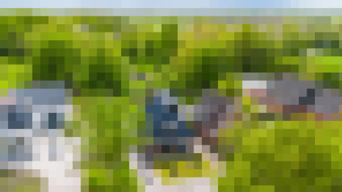 Weinterp 5 Wijnjewoude thumbnail 16