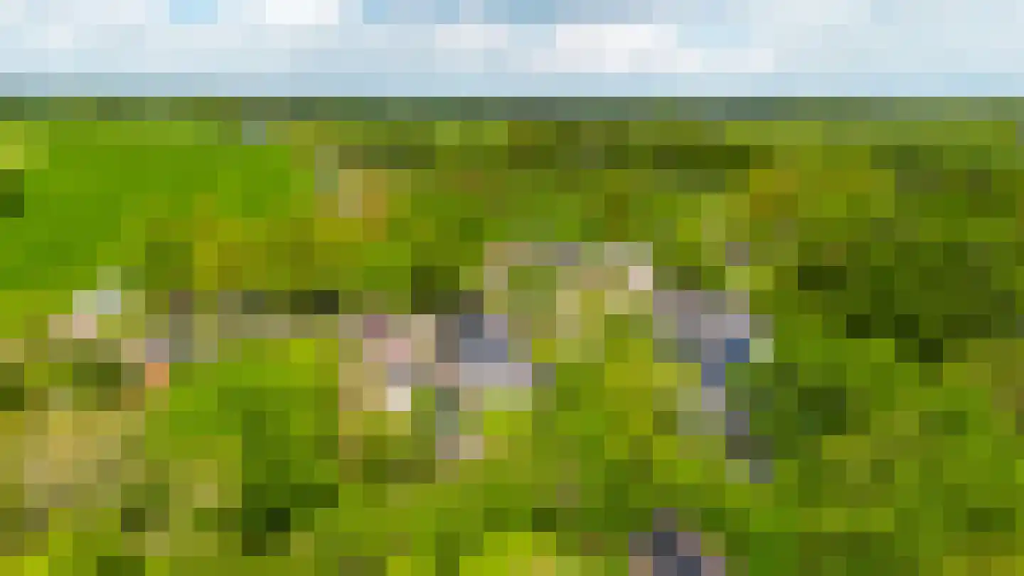 Weinterp 5 Wijnjewoude thumbnail 18