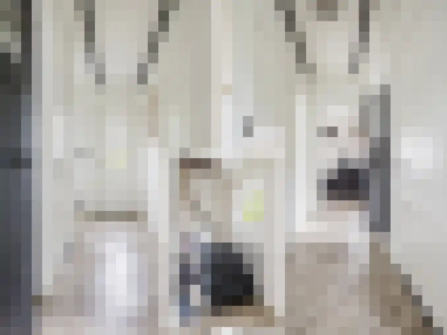 Weinterp 5 Wijnjewoude thumbnail 23
