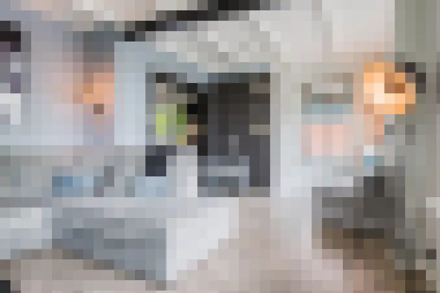 Weinterp 5 Wijnjewoude thumbnail 25