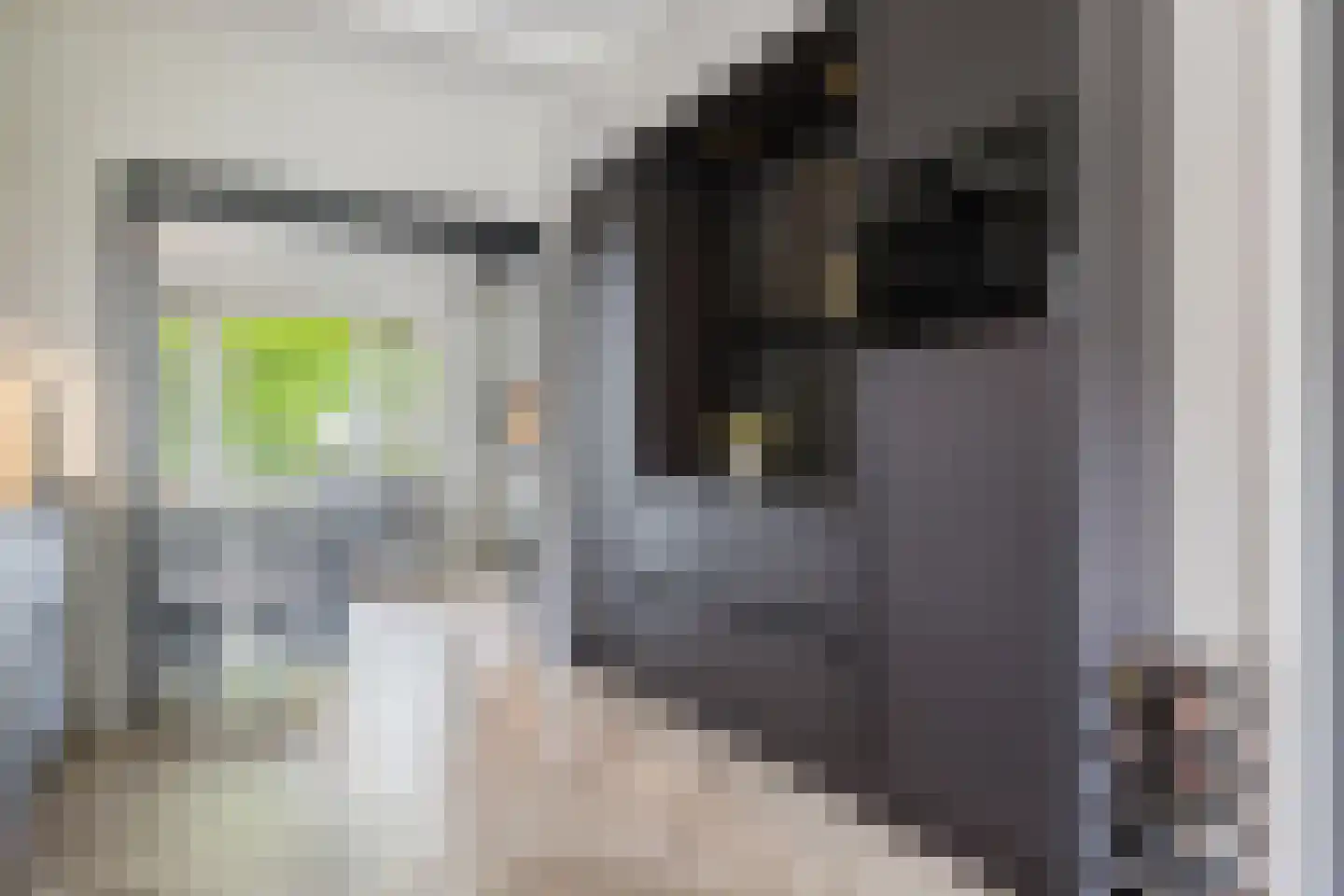 Weinterp 5 Wijnjewoude thumbnail 32