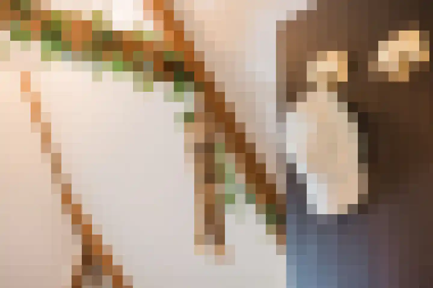 Weinterp 5 Wijnjewoude thumbnail 44