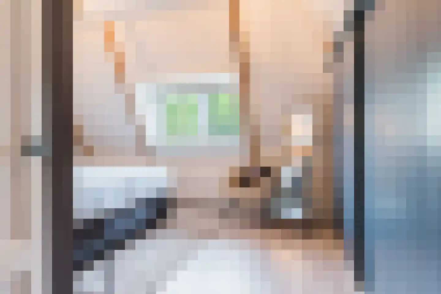 Weinterp 5 Wijnjewoude thumbnail 49