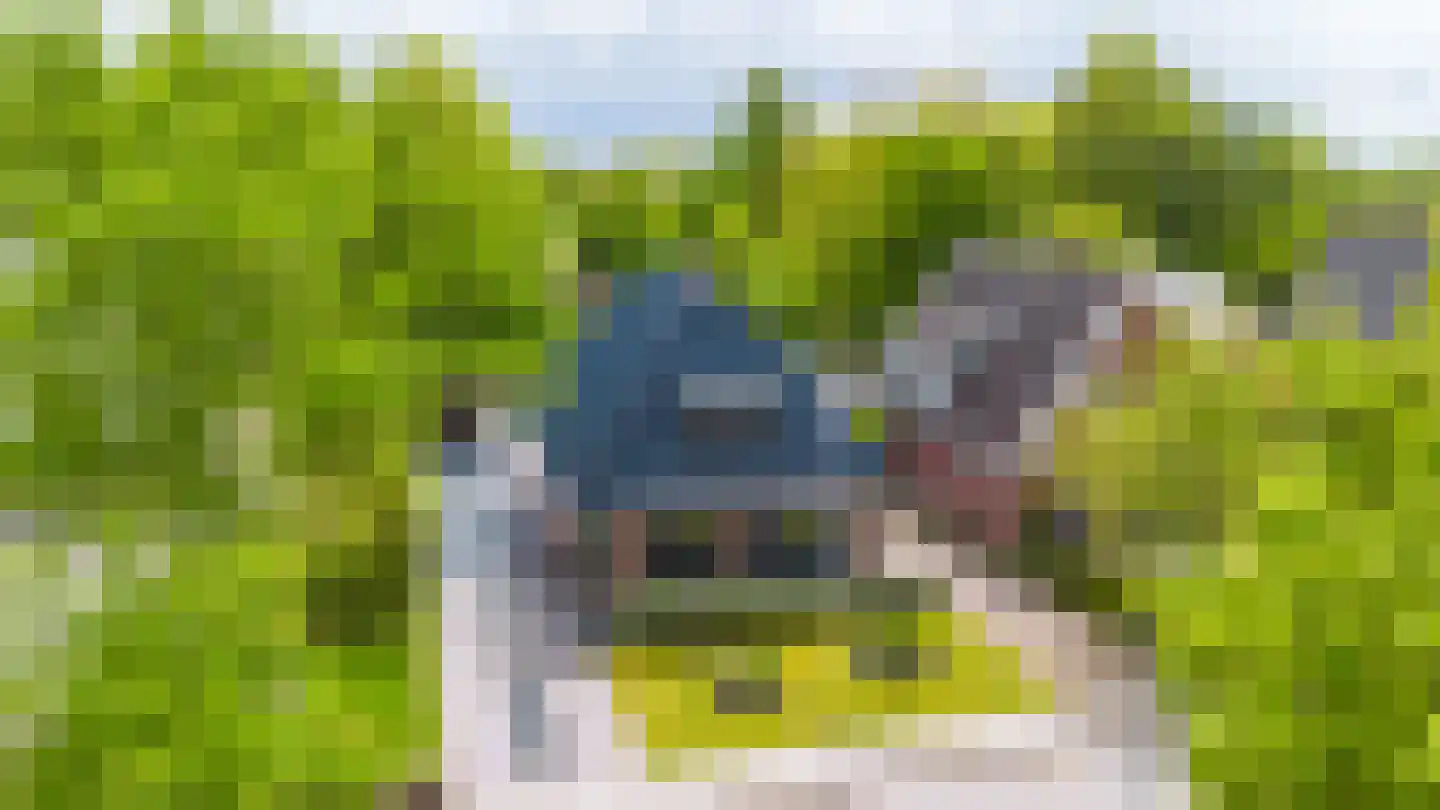 Weinterp 5 Wijnjewoude thumbnail 8