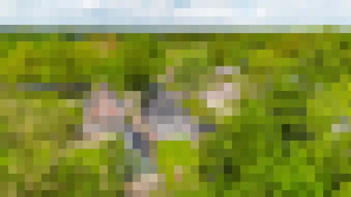 Weinterp 5 Wijnjewoude thumbnail 9