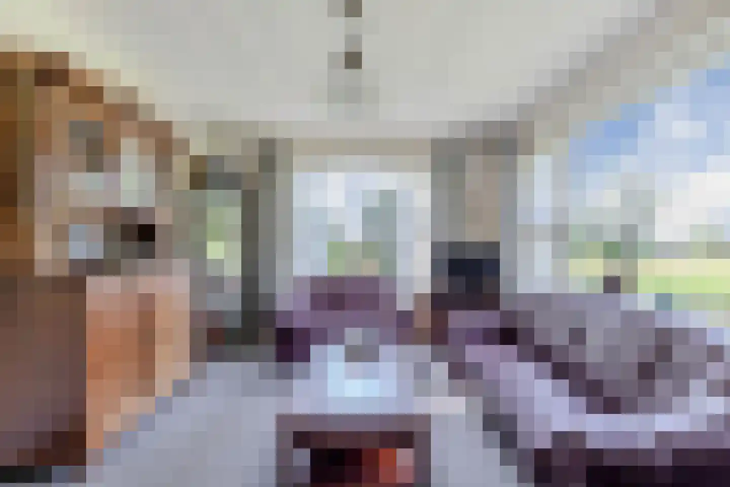 Weinterp 64 Wijnjewoude thumbnail 10