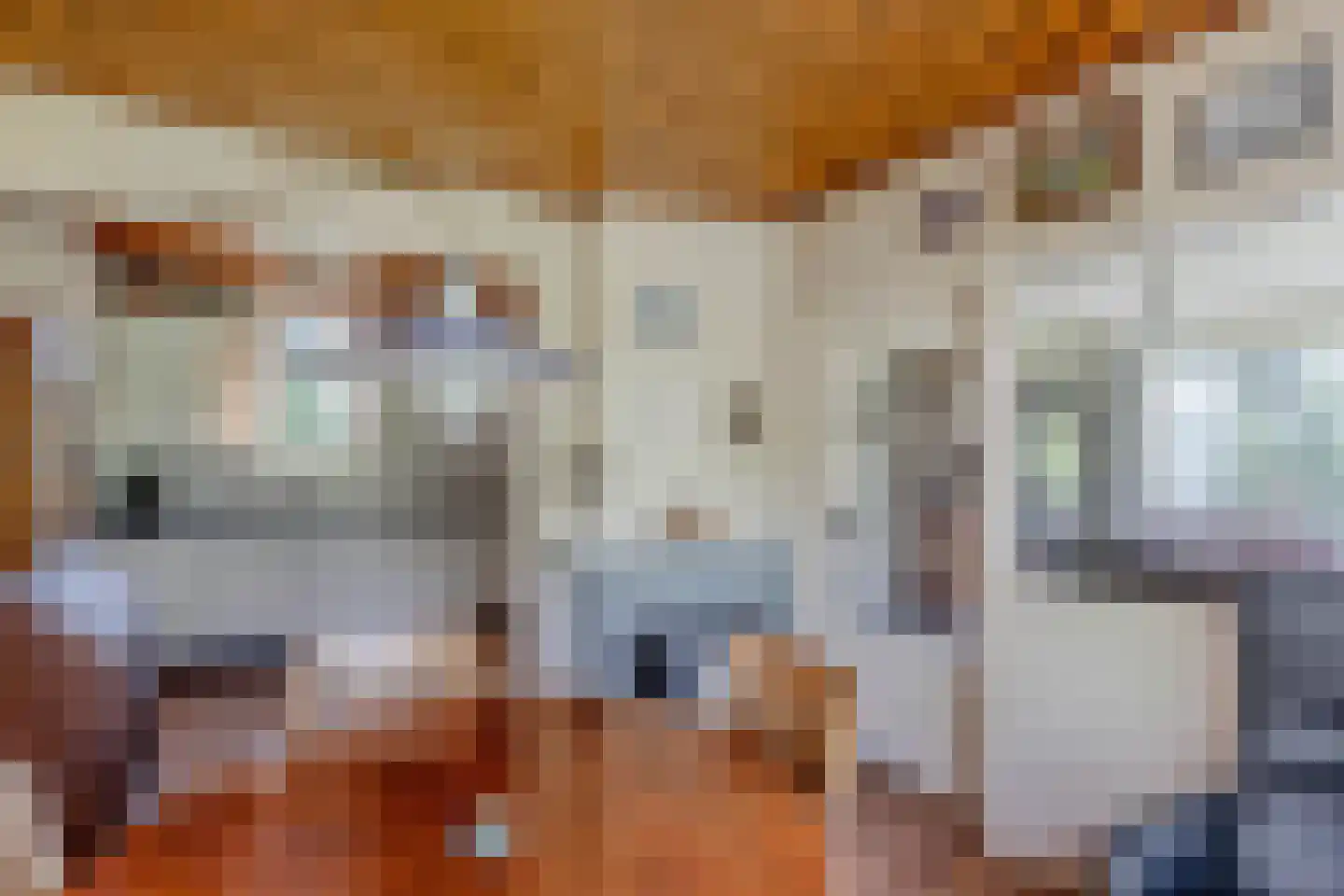 Weinterp 64 Wijnjewoude thumbnail 16