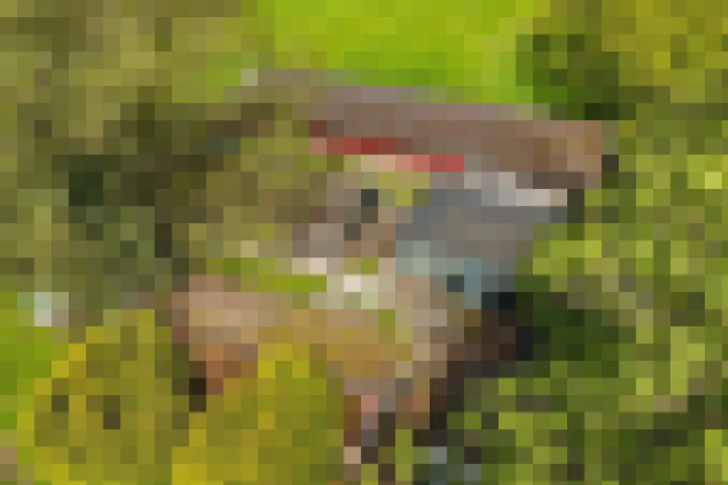 Weinterp 64 Wijnjewoude thumbnail 27