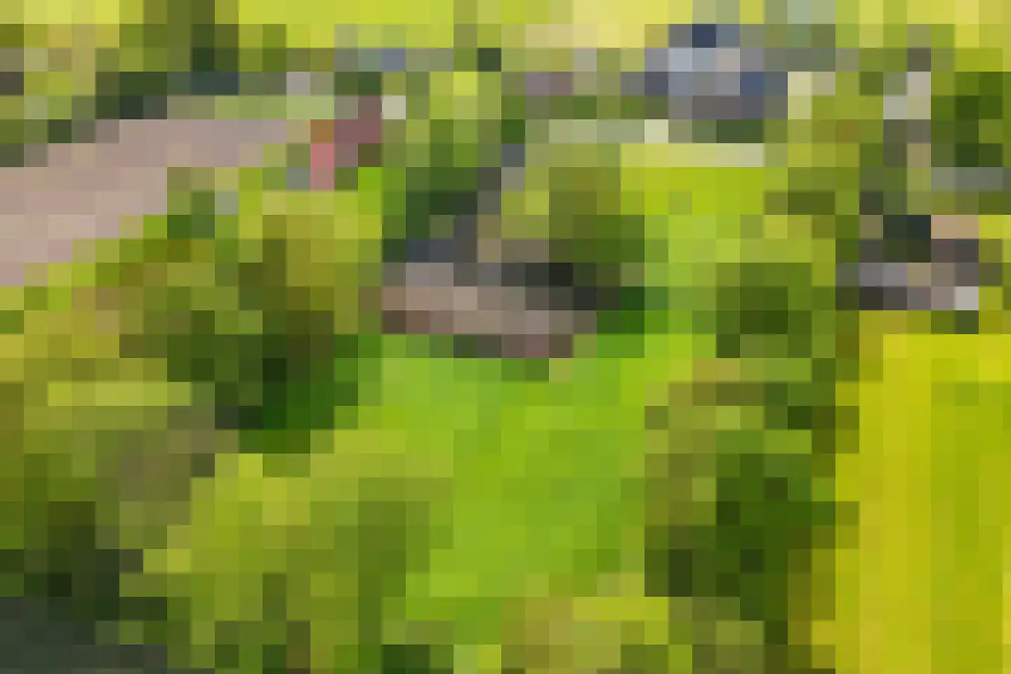 Weinterp 64 Wijnjewoude thumbnail 28