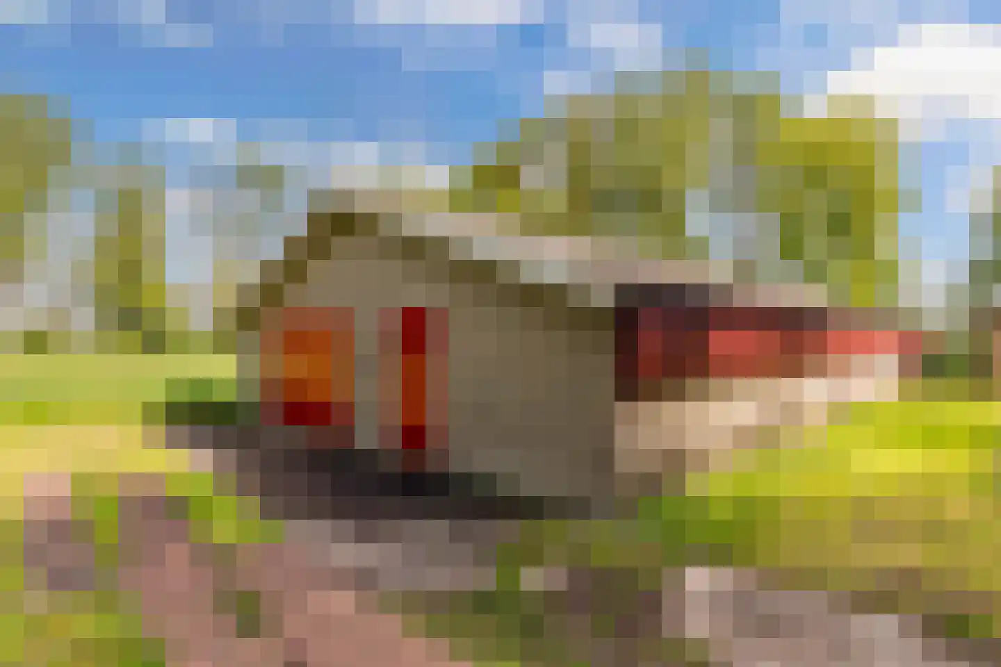 Weinterp 64 Wijnjewoude thumbnail 33