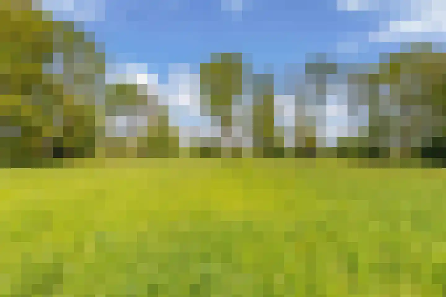 Weinterp 64 Wijnjewoude thumbnail 34