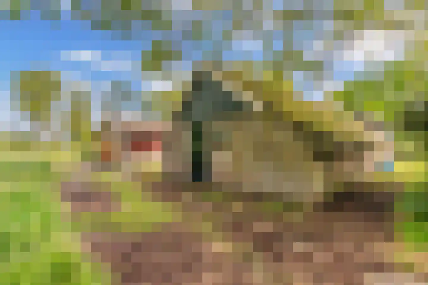 Weinterp 64 Wijnjewoude thumbnail 35