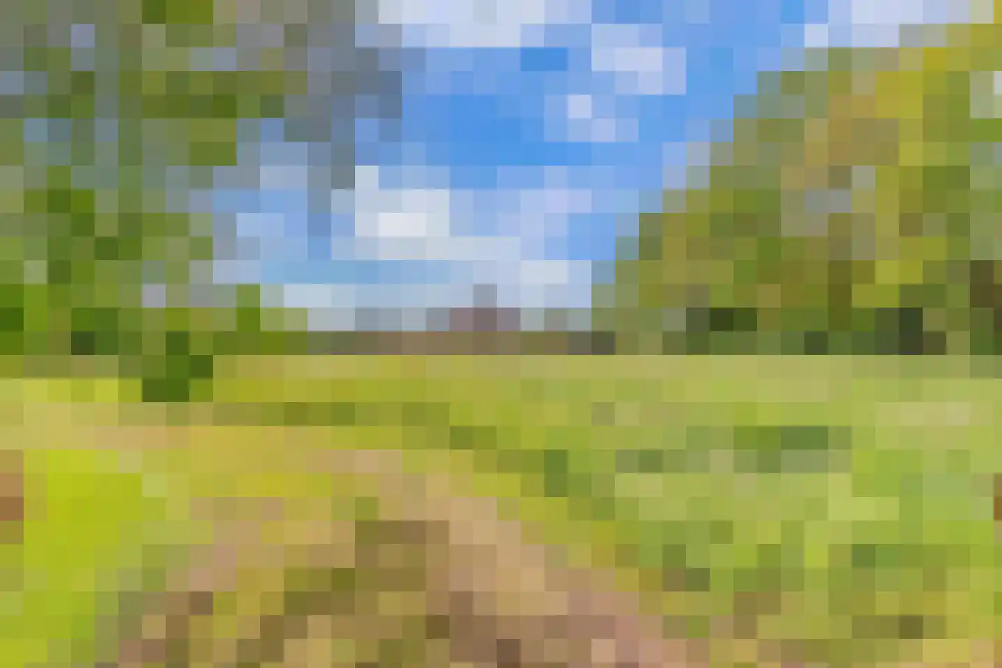 Weinterp 64 Wijnjewoude thumbnail 36