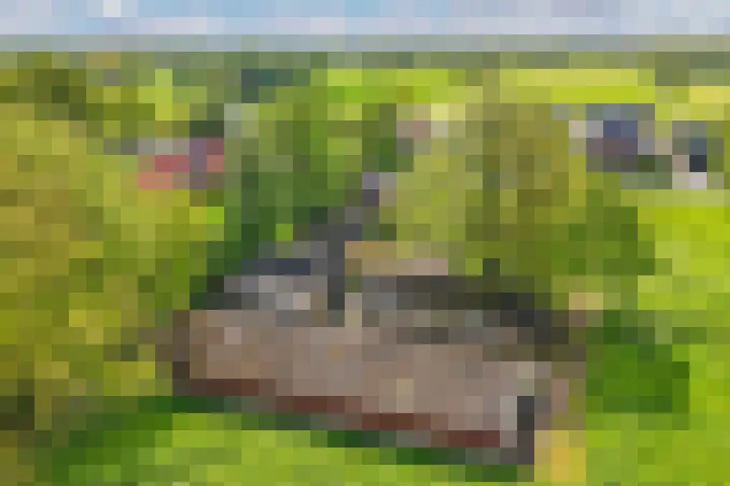 Weinterp 64 Wijnjewoude thumbnail 4
