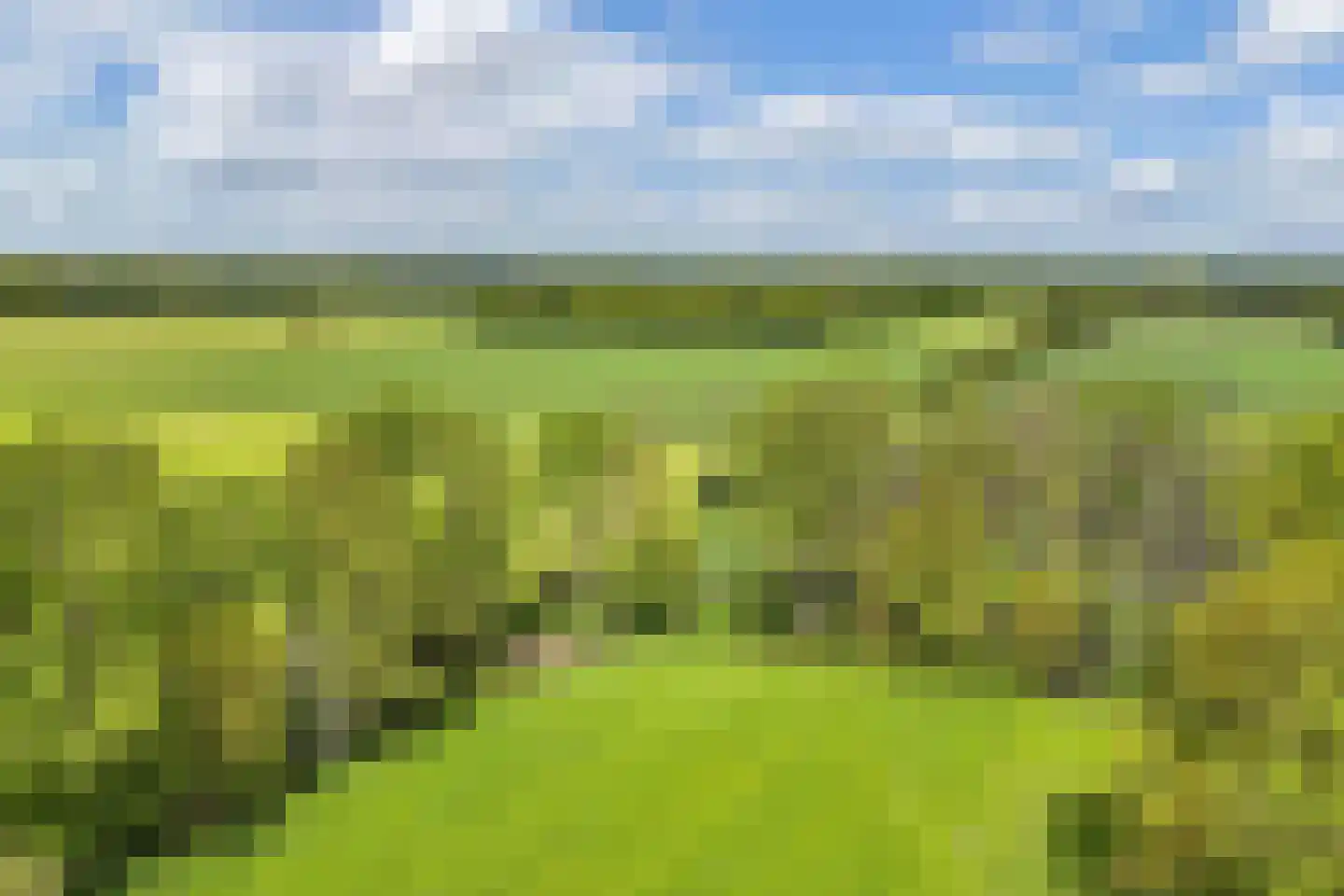 Weinterp 64 Wijnjewoude thumbnail 40