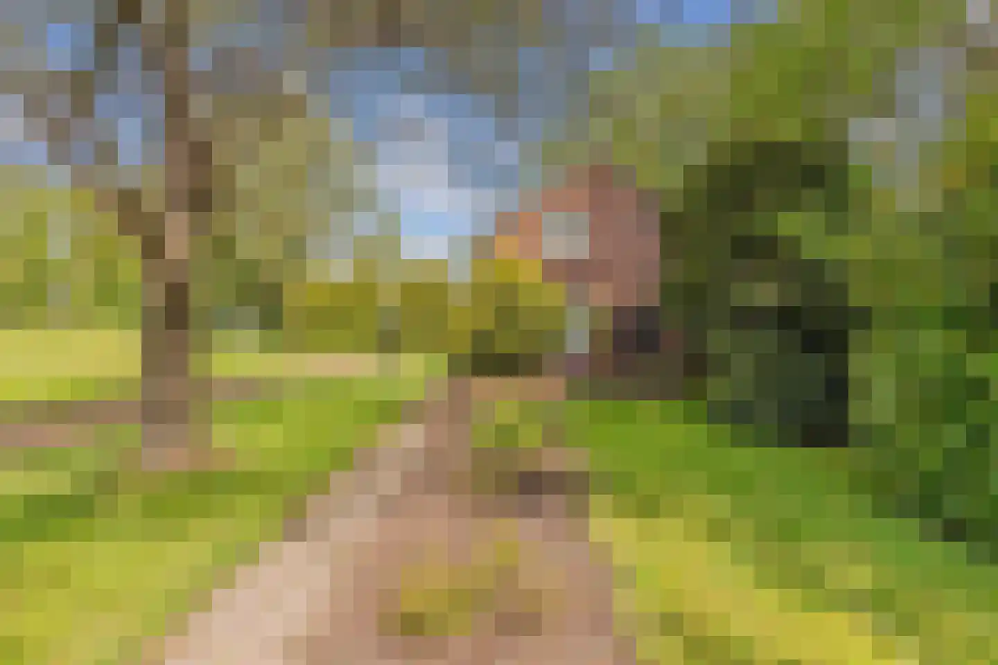 Weinterp 64 Wijnjewoude thumbnail 5