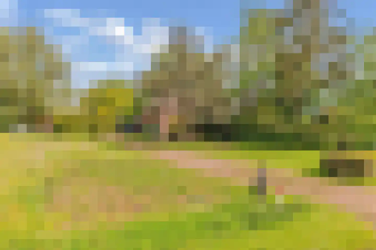 Weinterp 64 Wijnjewoude thumbnail 7