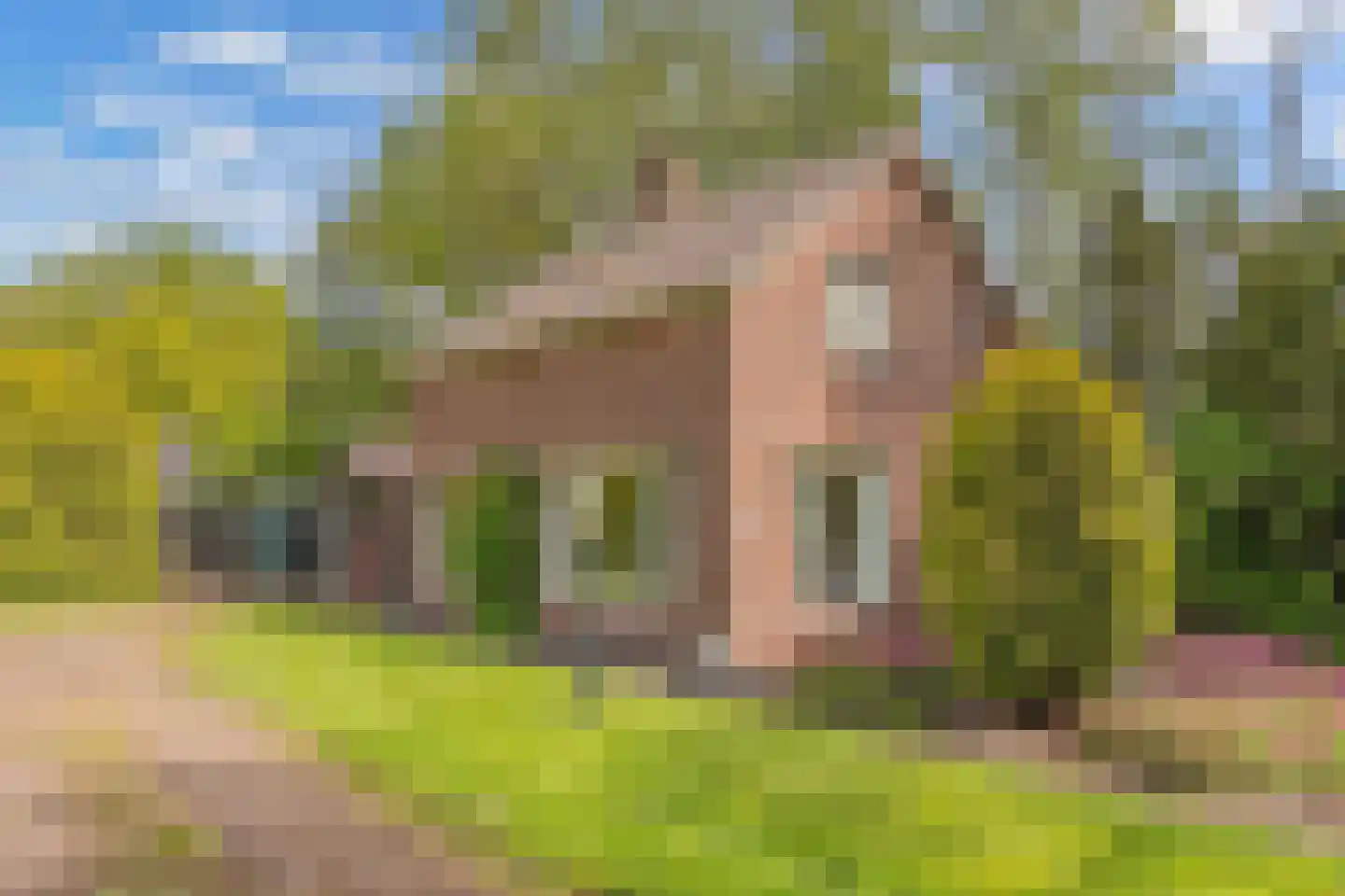 Weinterp 64 Wijnjewoude thumbnail 8