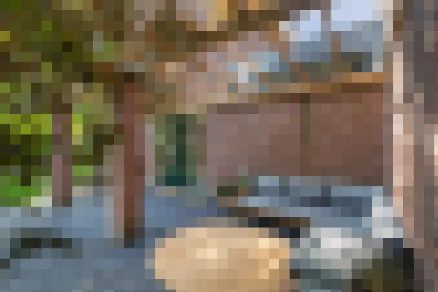 Weipad 3 Rotterdam thumbnail 18