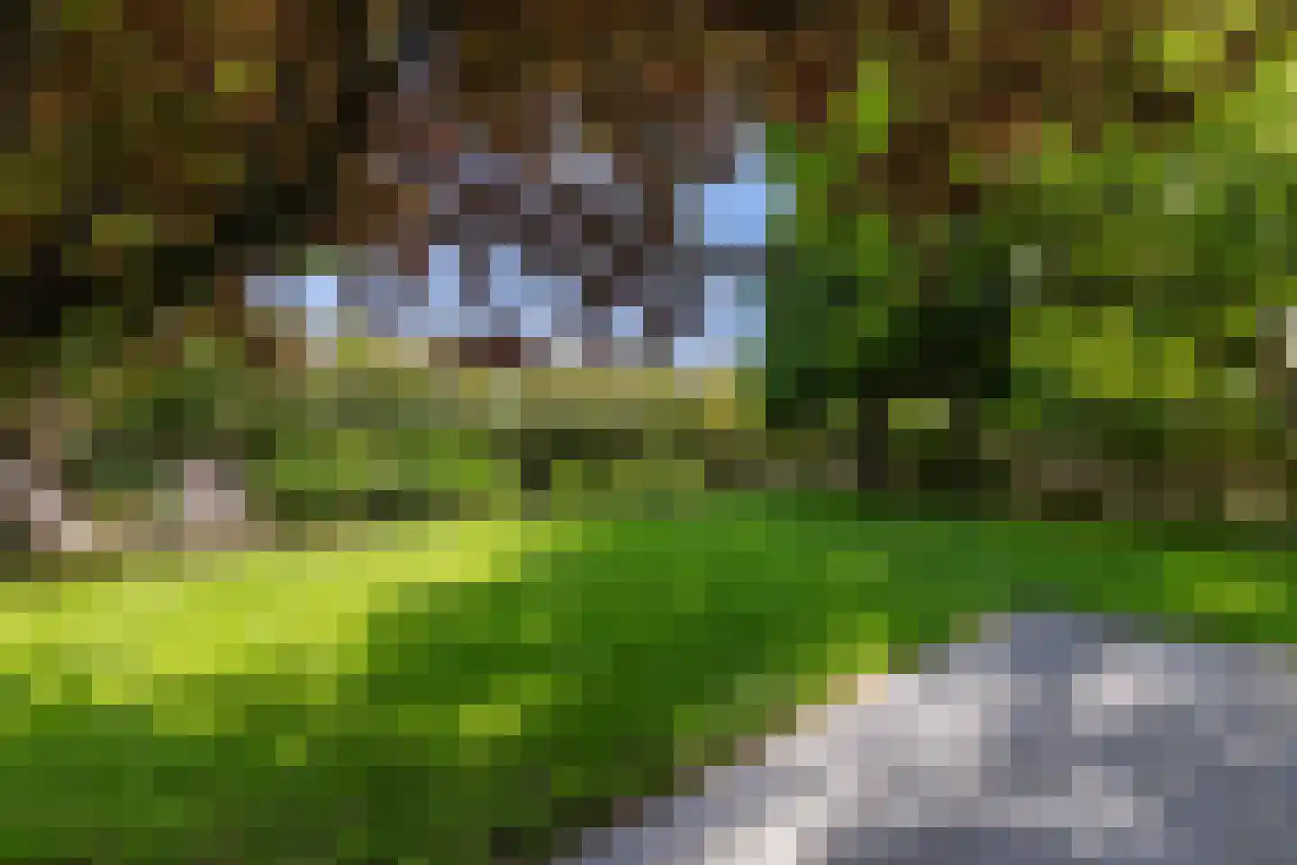 Weipad 3 Rotterdam thumbnail 20