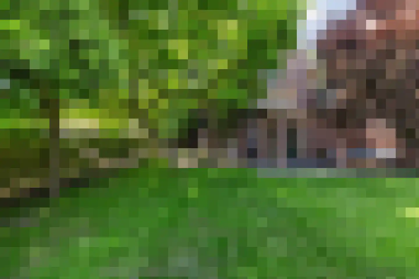 Weipad 3 Rotterdam thumbnail 21