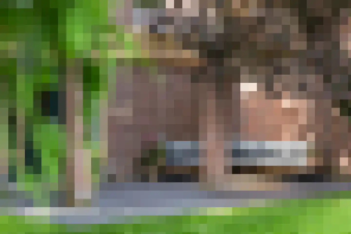 Weipad 3 Rotterdam thumbnail 23